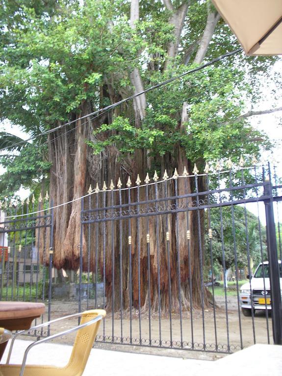 Vivienda Turistica El Castillo 伯里塔卡 外观 照片